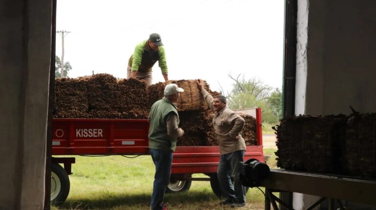 EL IPT HIZO EFECTIVO EL PAGO DE SOBREPRECIO POR ACOPIO